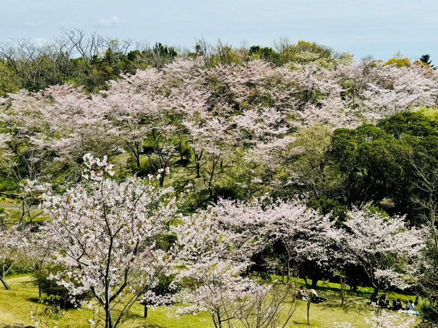 風乃家 Kaze No Ya Villa Shirahama Buitenkant foto