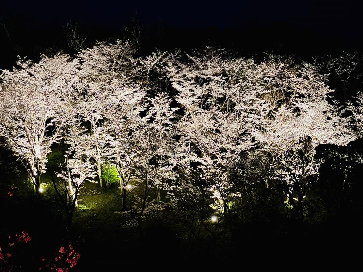 風乃家 Kaze No Ya Villa Shirahama Buitenkant foto